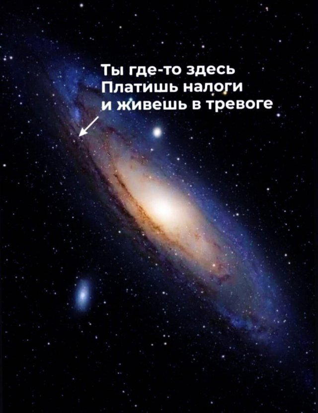 Скушно бездишки, Дичка