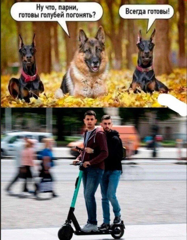 Скушно бездишки, Дичка