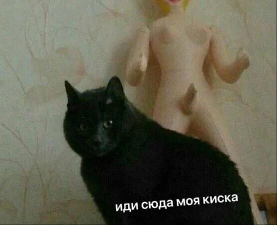 Скушно бездишки, Дичка