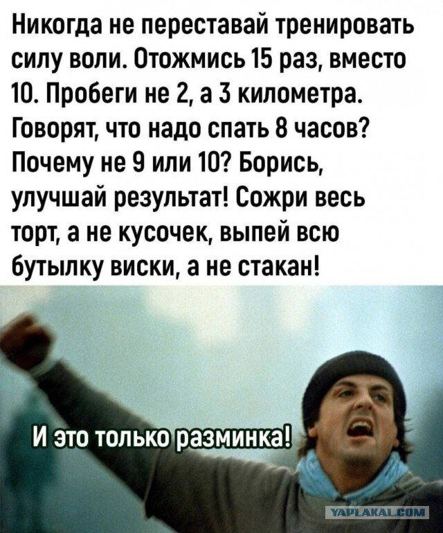 Дичка к утру еще ни кому не повредила