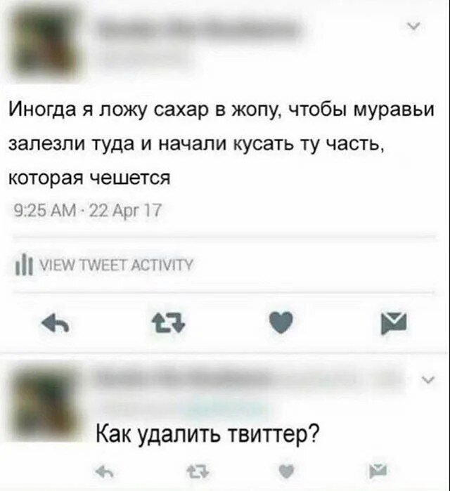 Дичка к утру еще ни кому не повредила