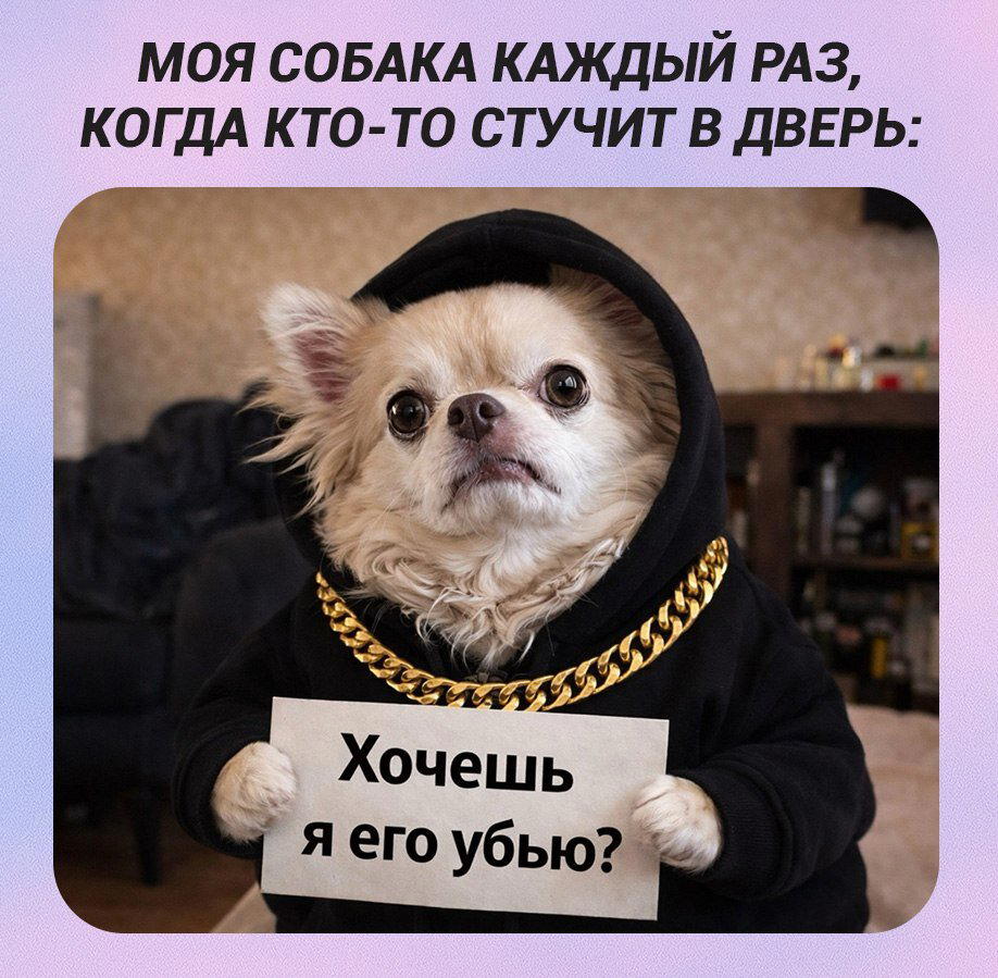 Дичка к утру еще ни кому не повредила