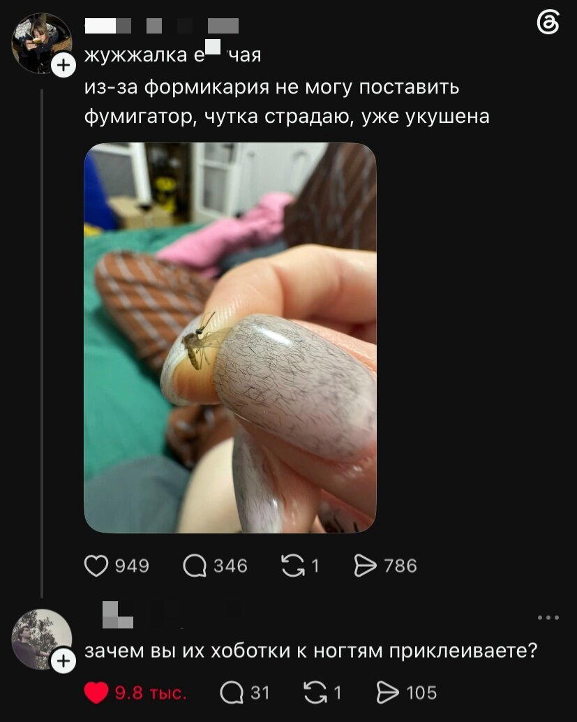 Дичка к утру еще ни кому не повредила