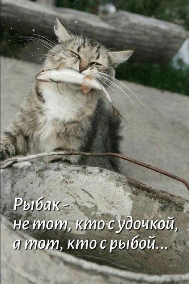 Дички как пивка много не бывает