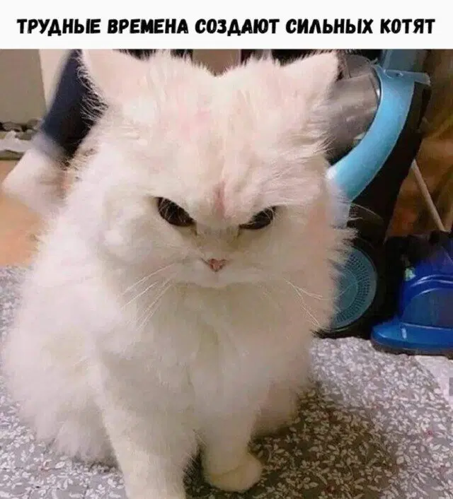 Дички как пивка много не бывает