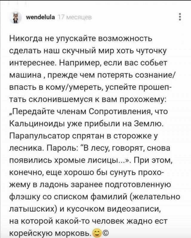 Дички как пивка много не бывает