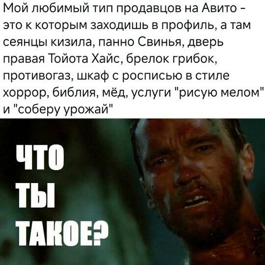 Дички как пивка много не бывает