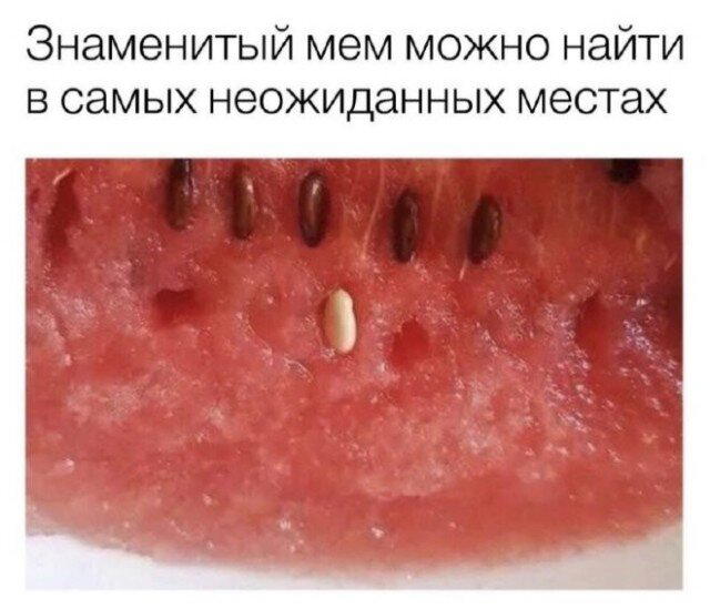 Завтра сон и значит это завтращная дичка