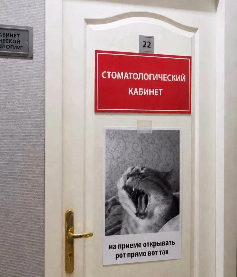 Завтра сон и значит это завтращная дичка