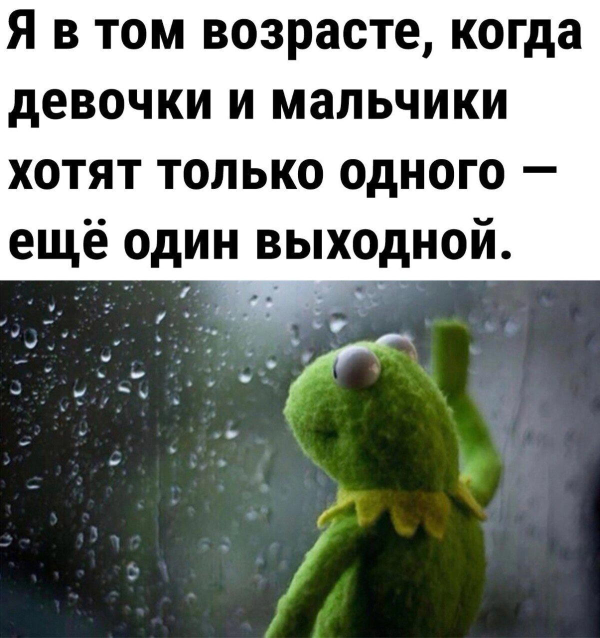 Завтра сон и значит это завтращная дичка