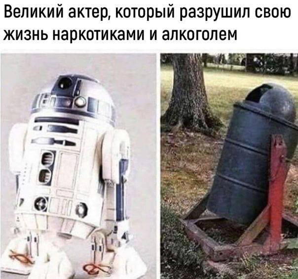 Дичка но не совсем (((