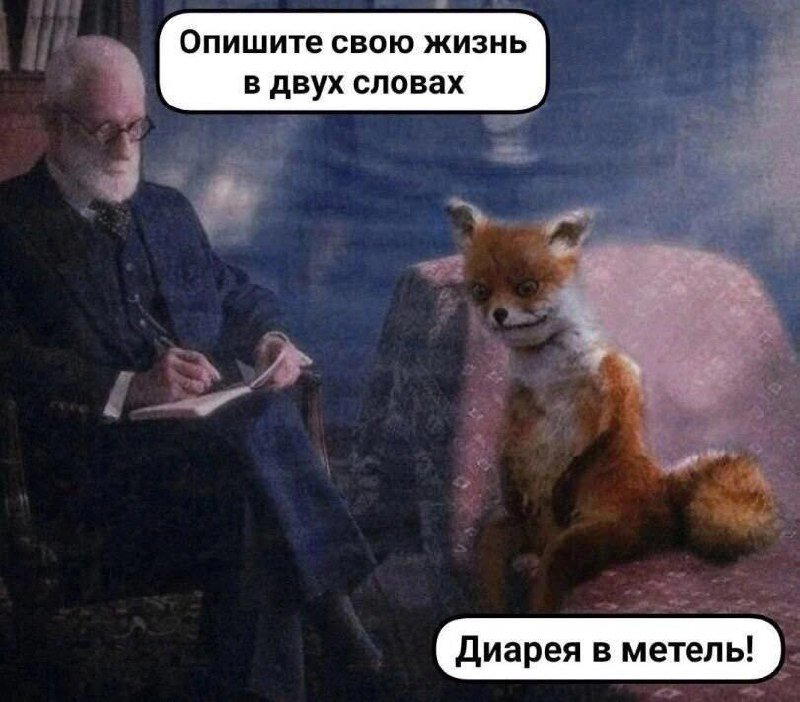 Дичка но не совсем (((