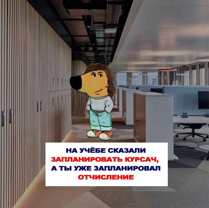 Дичка но не совсем (((