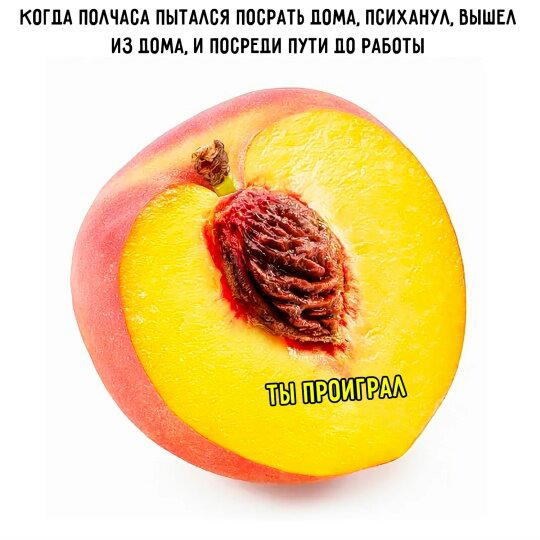 Дичка но не совсем (((