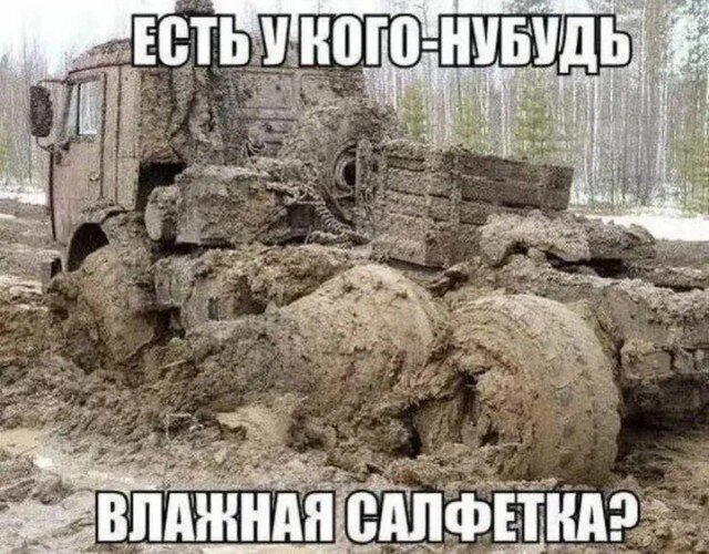 Дичка но не совсем (((