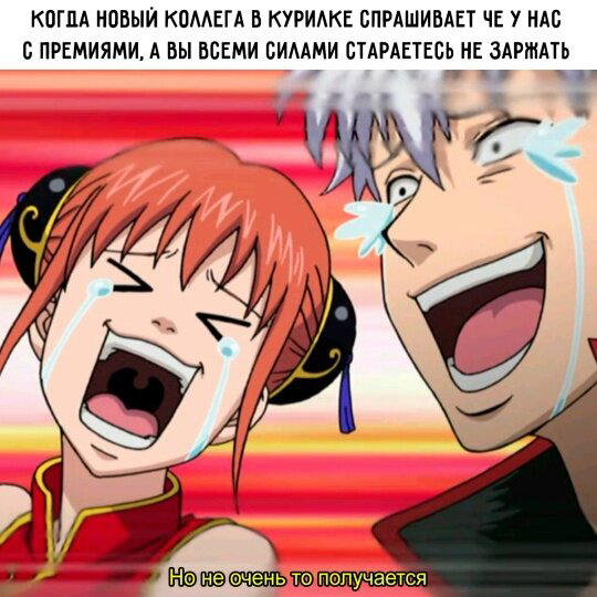 Дичка но не совсем (((