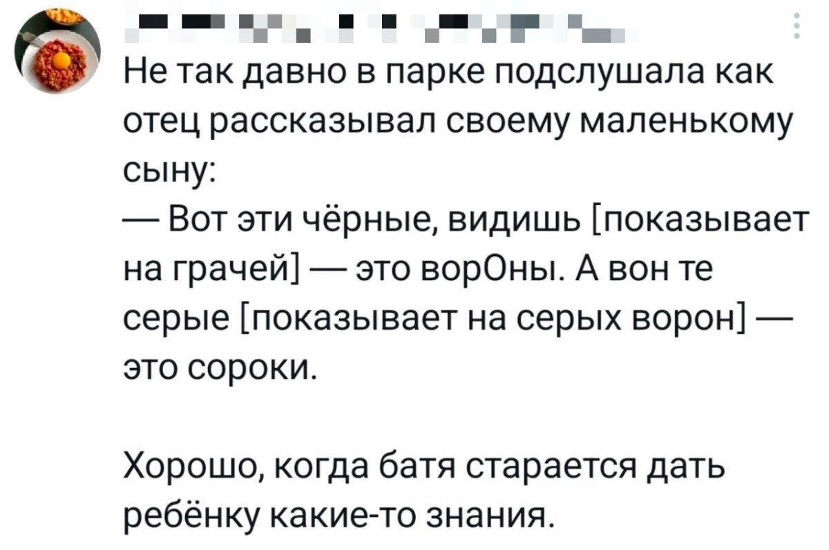 Дичка но не совсем (((