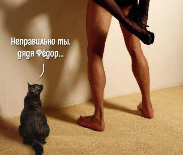 Дичка на попонедельник