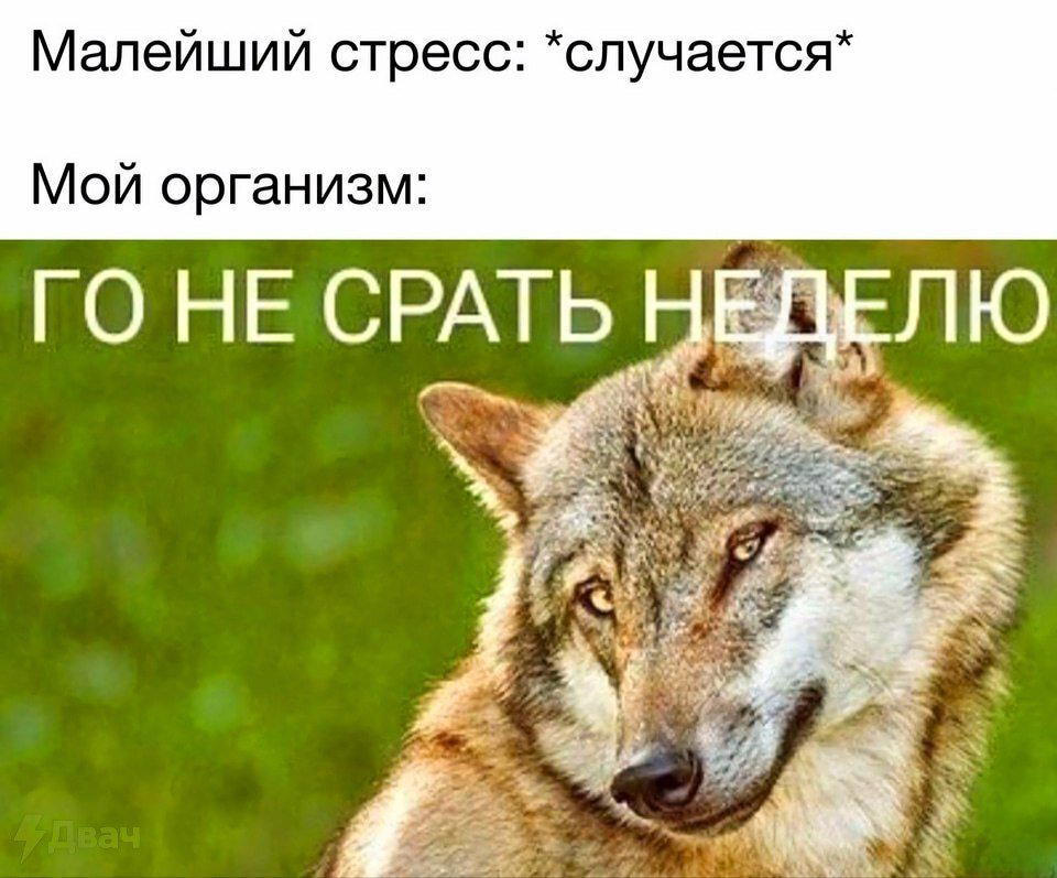 Дичка на попонедельник