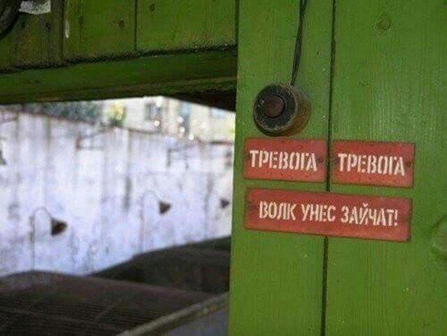 Дичка на попонедельник