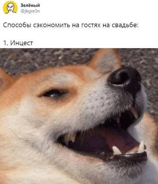 Дичка на попонедельник
