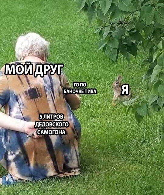 Дичка на попонедельник