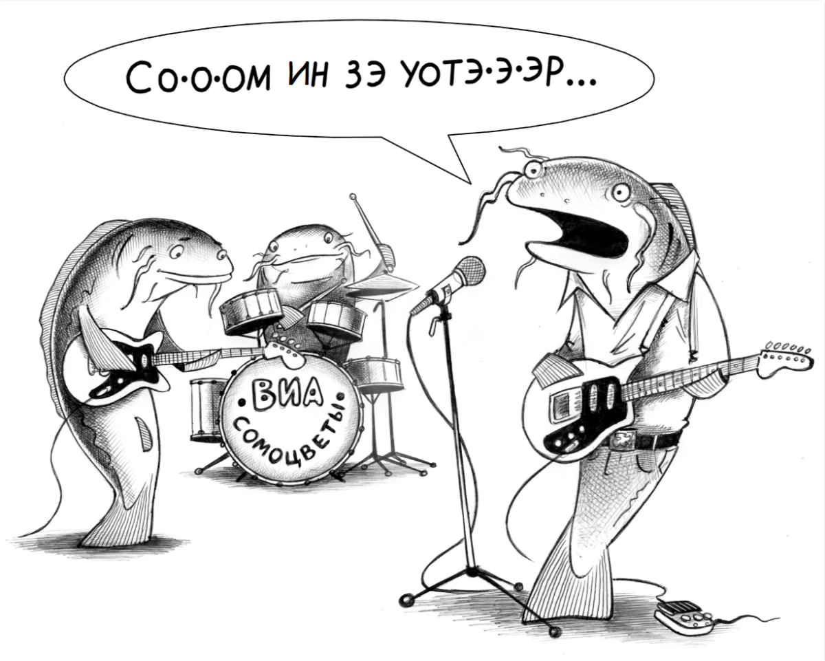 Сомовое