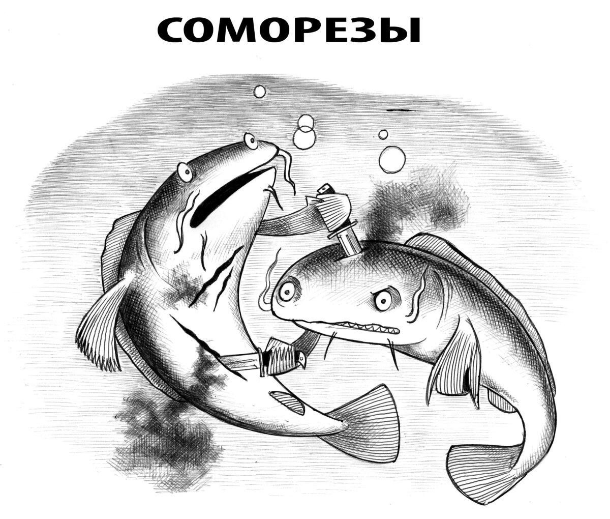 Сомовое