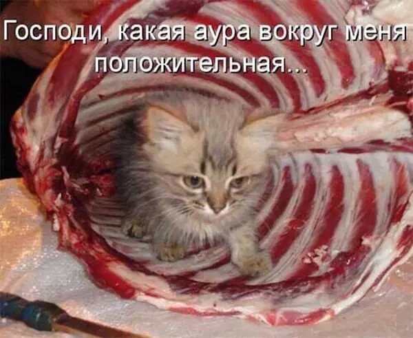 Это да