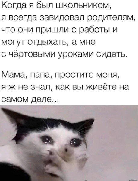 Дички для тонуса