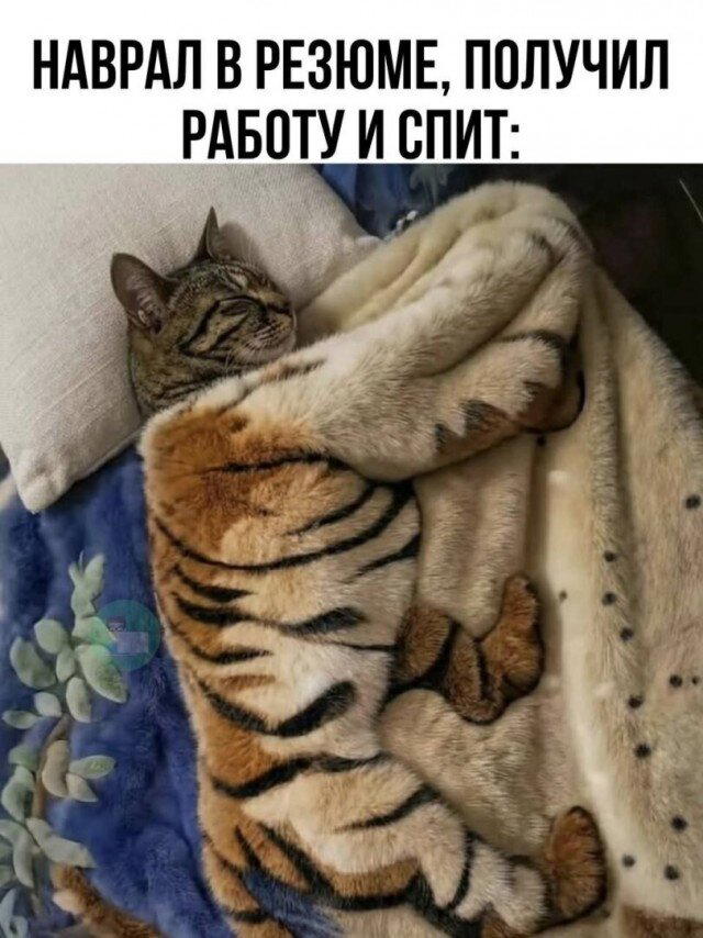 Дички для тонуса