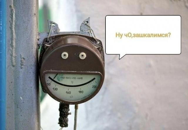 Дички для тонуса