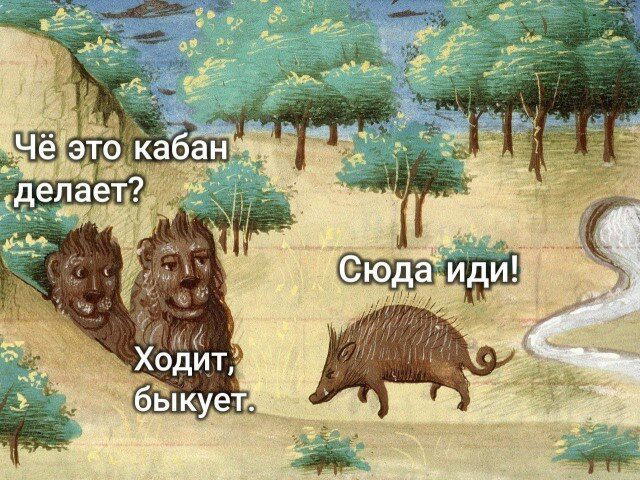 Дички для тонуса