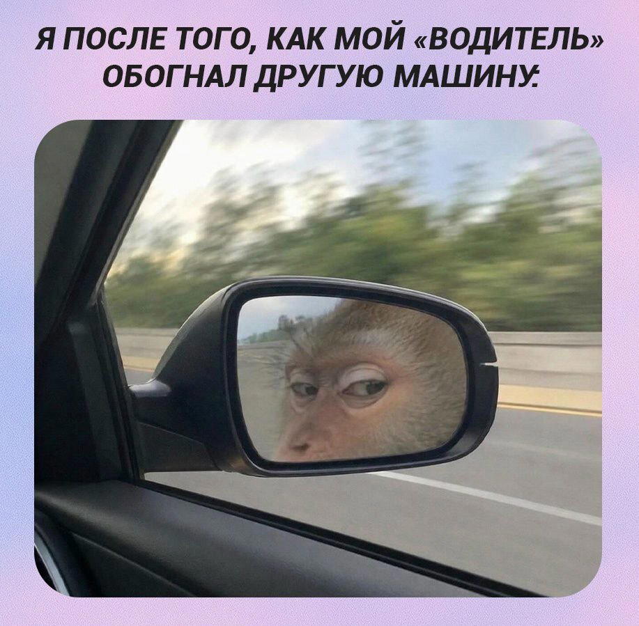 Дички чтобы скинуть мемасик соседке