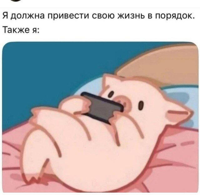 Дички чтобы скинуть мемасик соседке