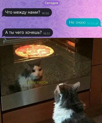 Дички чтобы скинуть мемасик соседке