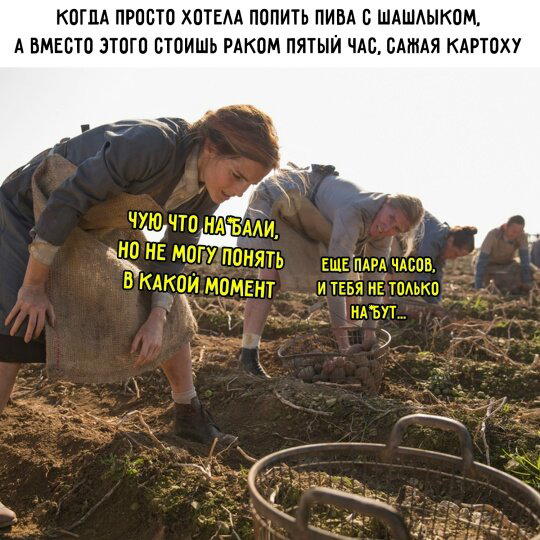 Дички чтобы скинуть мемасик соседке