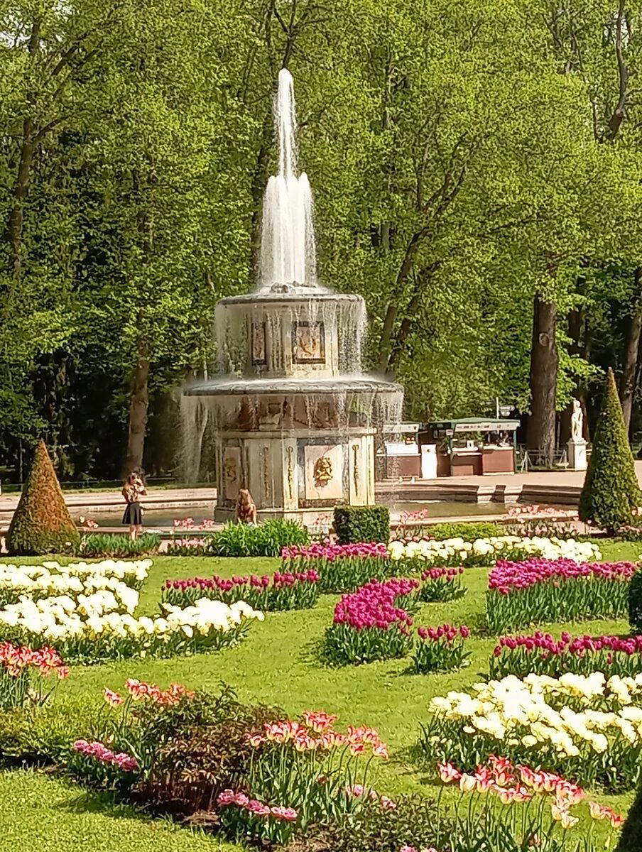 Весна в Петергофе