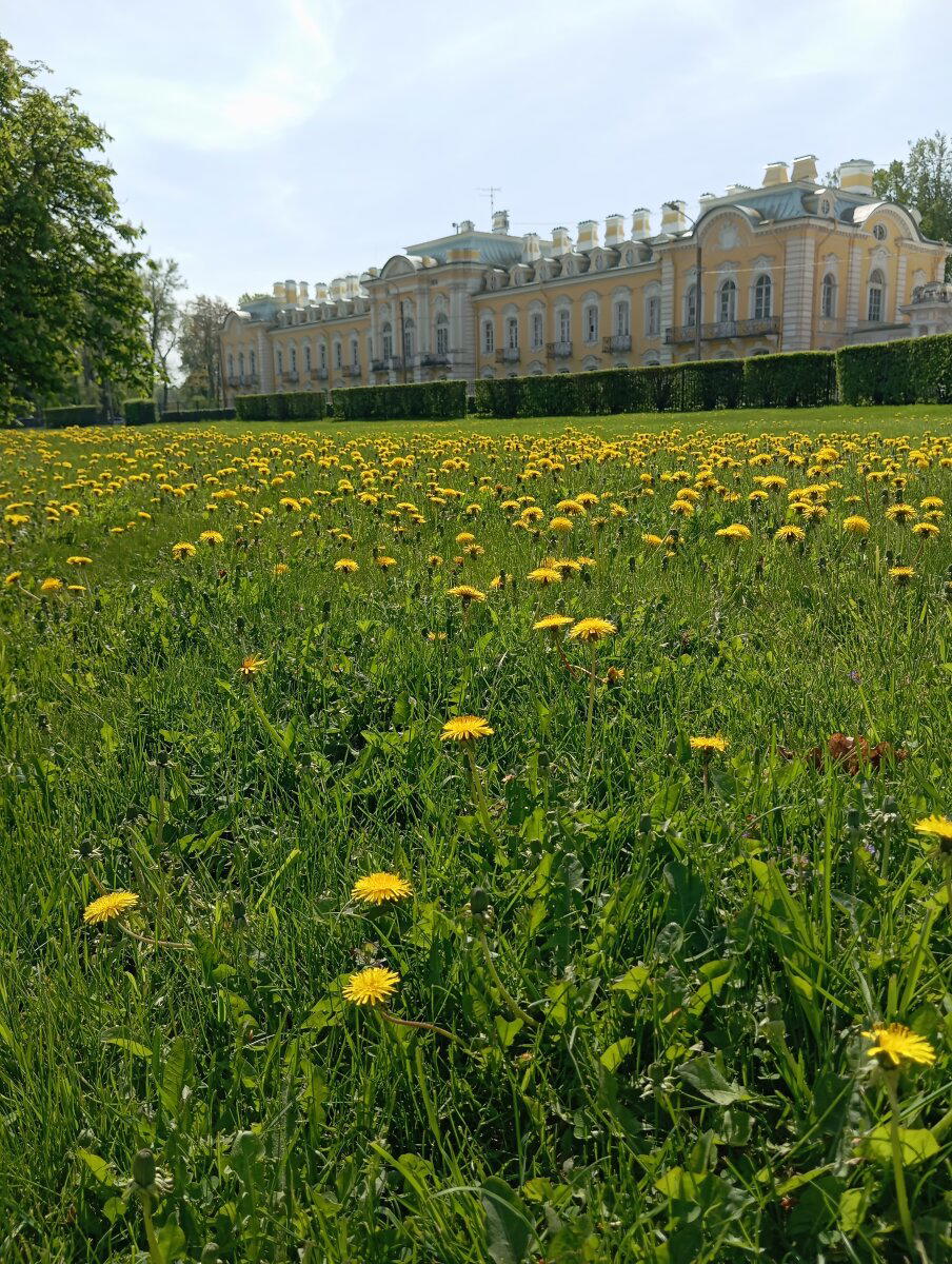 Весна в Петергофе