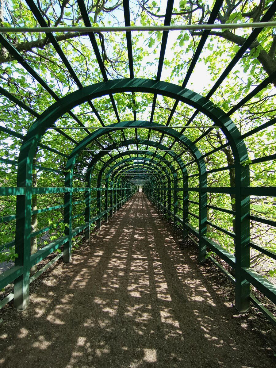 Весна в Петергофе