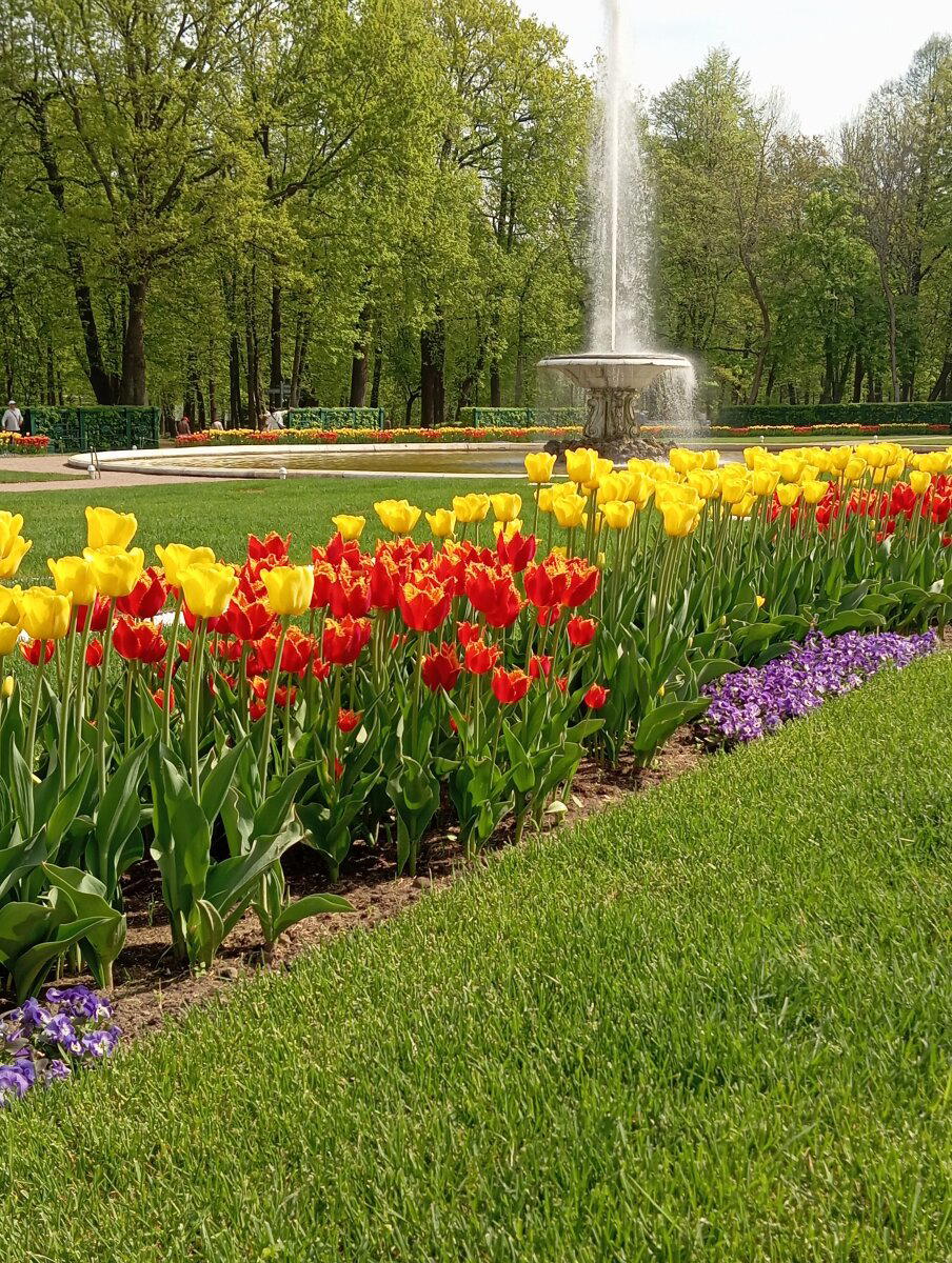 Весна в Петергофе