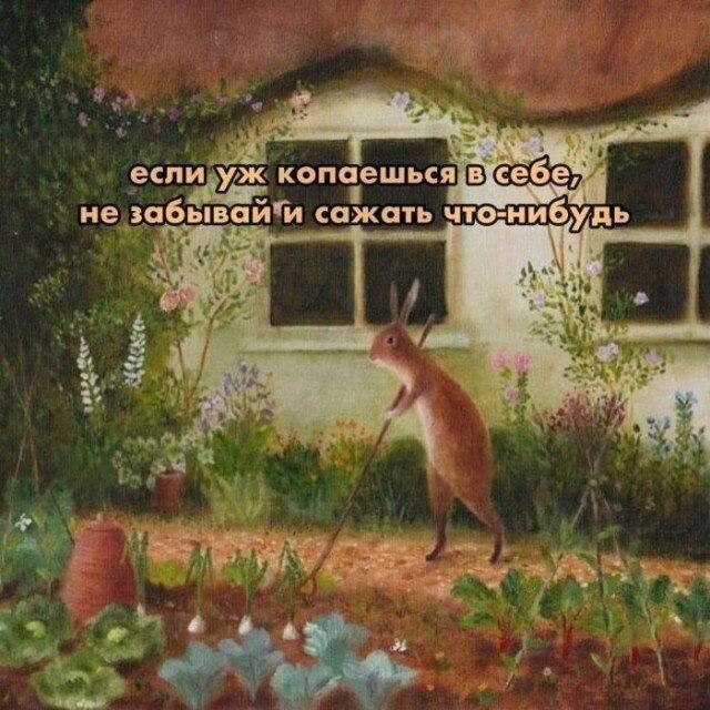 Дички в радость, мемов в сладость