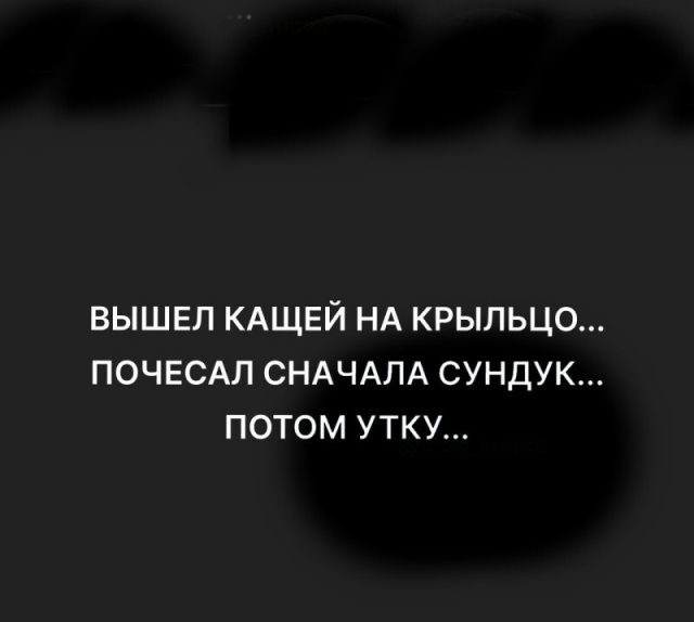 Дички в радость, мемов в сладость