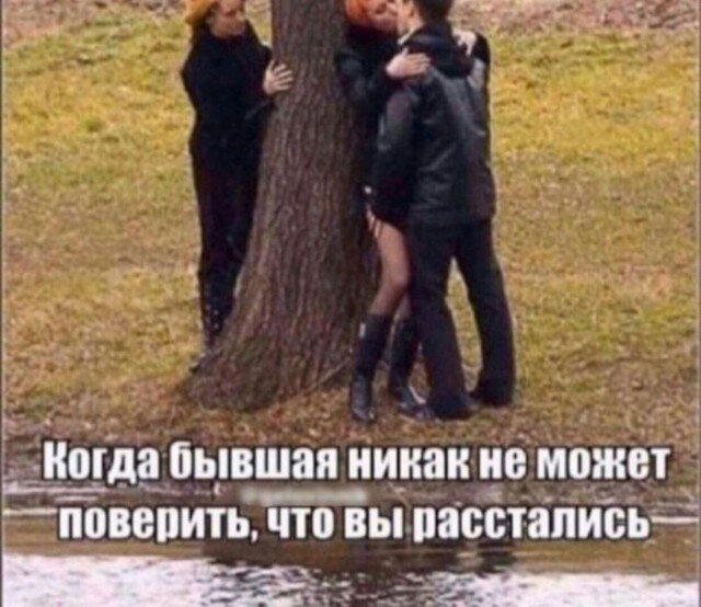 Дички в радость, мемов в сладость