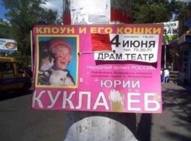 Дички в радость, мемов в сладость
