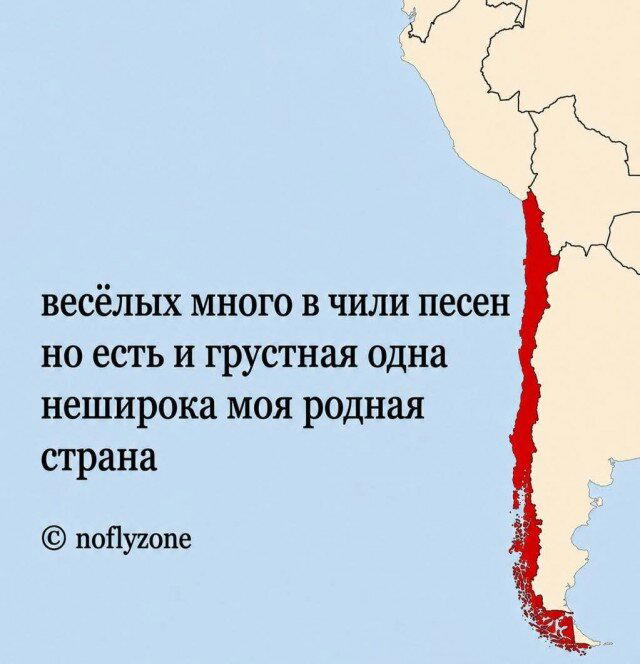 Дички в радость, мемов в сладость
