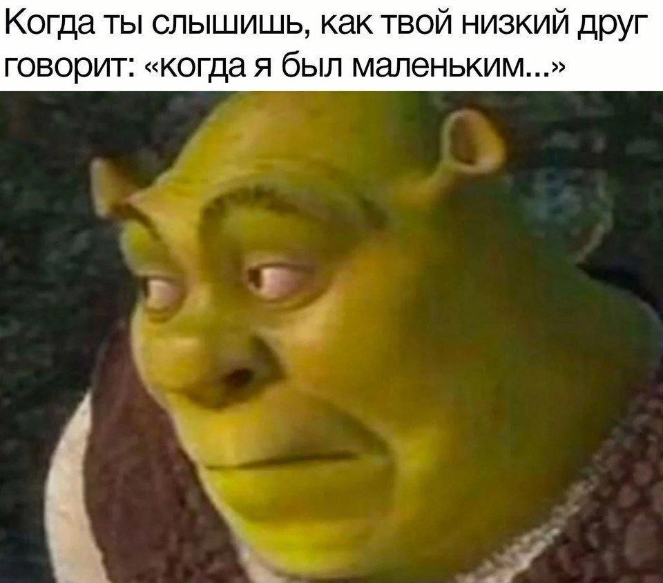 Дички в радость, мемов в сладость