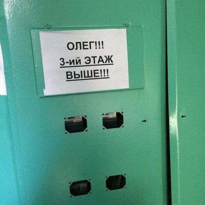 Дички в радость, мемов в сладость