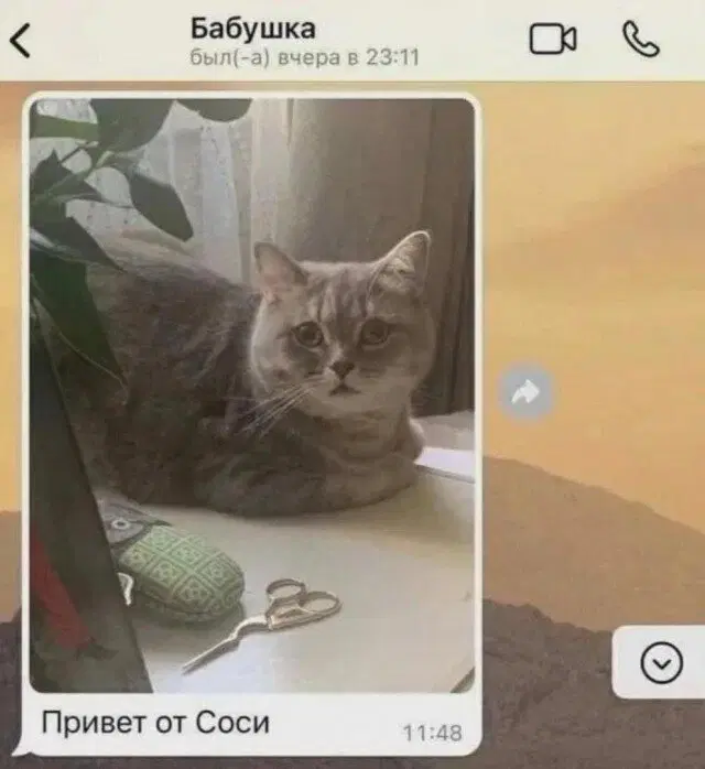 ))))9