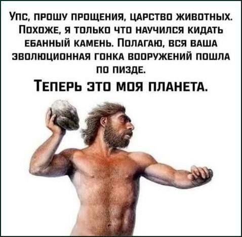 Пятнишкой прекрасной дички
